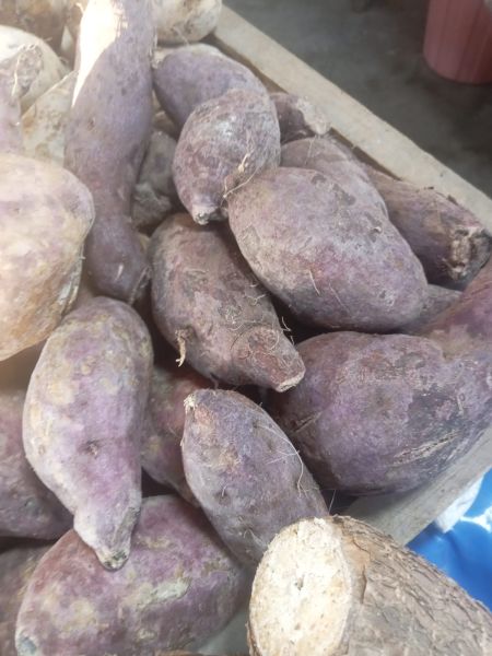 File:Batata merah, atetela mela.jpg